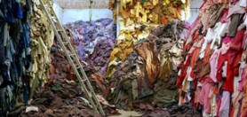 Fast Fashion. Die Schattenseiten der Mode