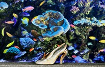 Christian Louboutin: L'Exhibition